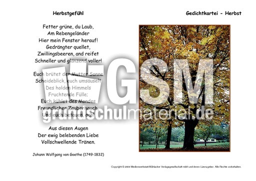 Herbstgefühl-Goethe-B.pdf
